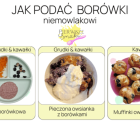 Przepisy jak podać borówki niemowlakowi