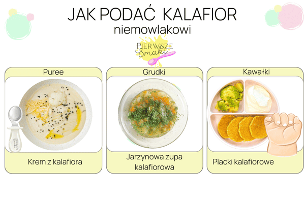 przepisy z kalafiorem na czas rozszerzania diety i całej rodziny